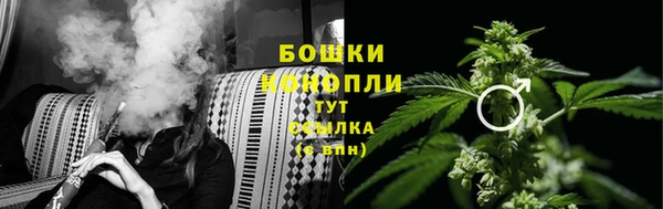 марки lsd Богданович